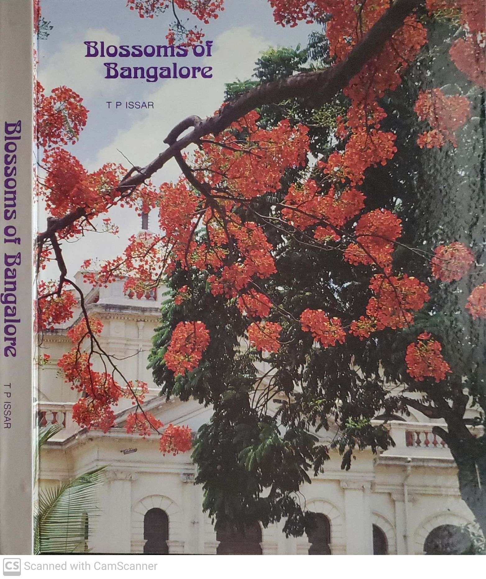 Blossoms of Bangalore (Hardcover)