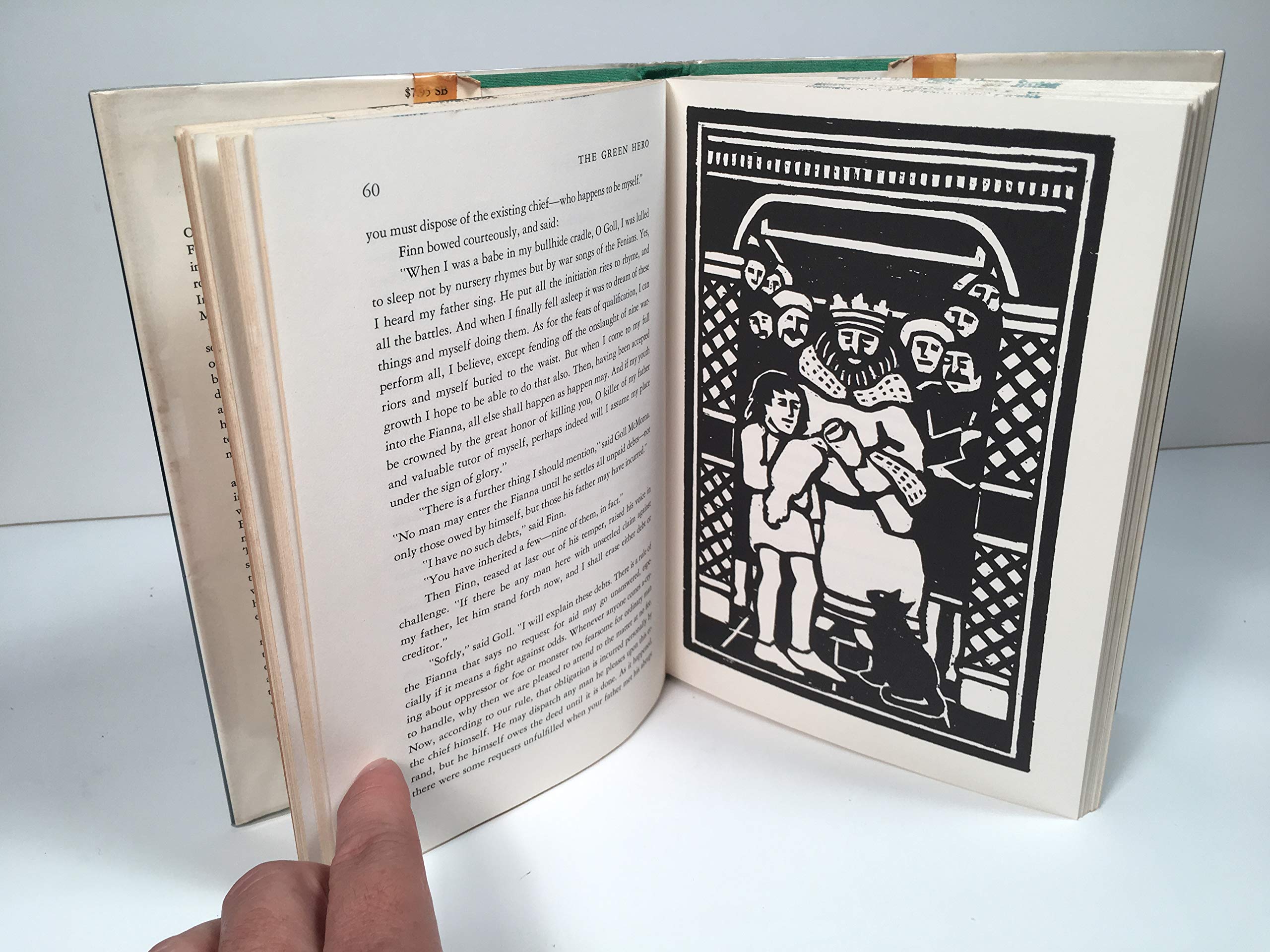 The Green Hero: Early Adventures of Finn McCool (Library Binding)