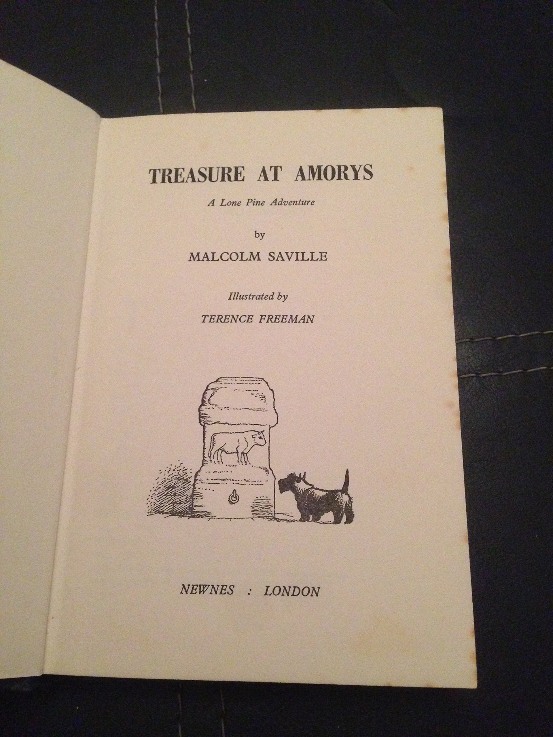Treasure at Amorys: a Lone Pine adventure (Hardcover)