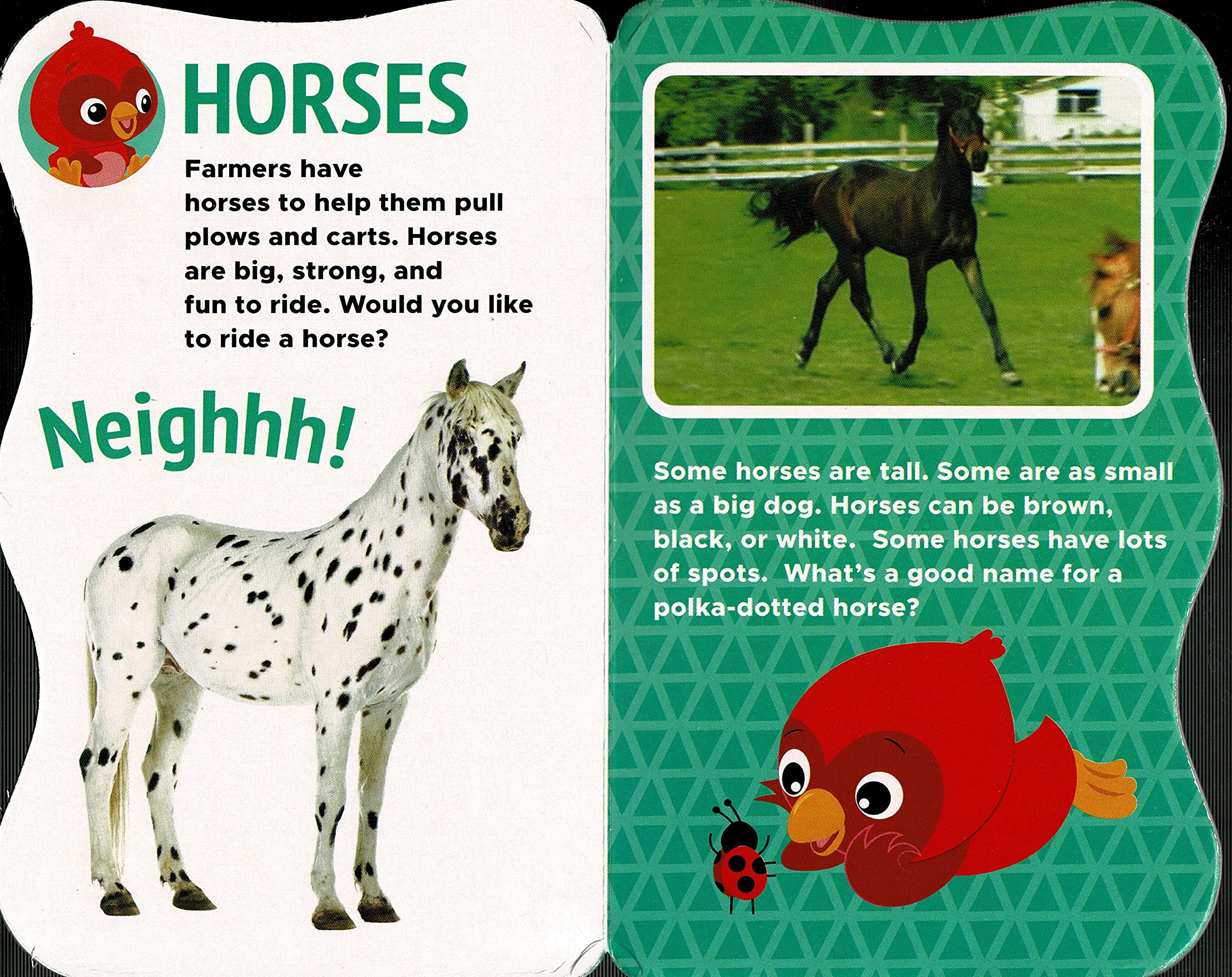 At the Park, In the Jungle, Farm Friends, Animals of the World - Video Fun Book - Children's Board Book (Set of 4 Books)