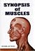 Synopsis of Muscles