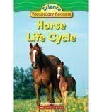 Horse Life Cycle (Paperback)