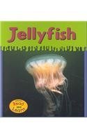 Jellyfish (Ooey-gooey Animals)