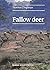 Fallow deer