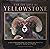 For the Love of Yellowstone...