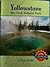 Yellowstone Our Firat Natio...