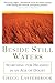 Beside Still Waters: Searching for Meaning in an Age of Doubt by Gregg Easterbrook (1-Nov-1999) Paperback