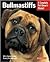 Bullmastiffs: Everything ab...
