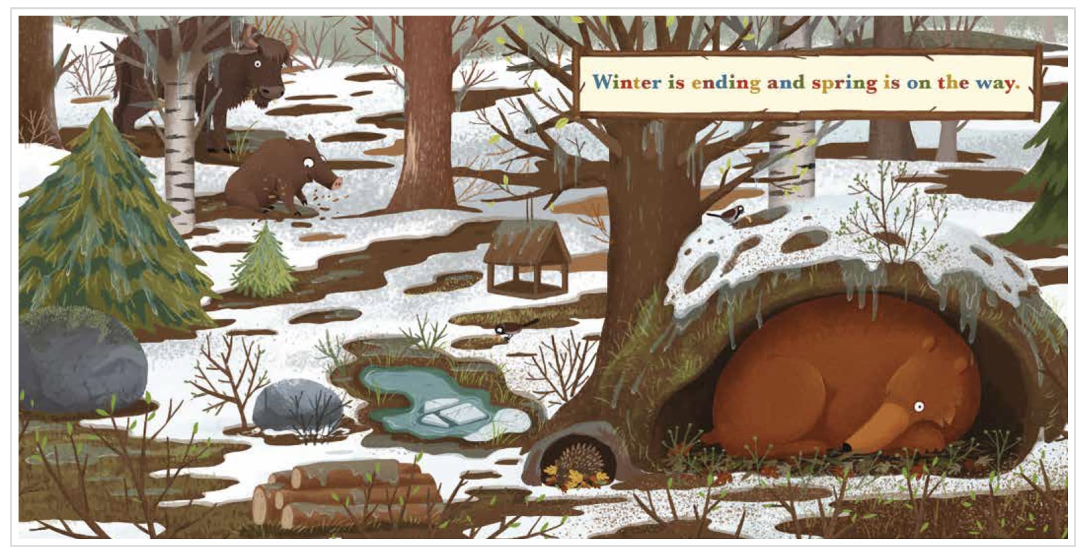 A Year in the Forest with Bear (Board Book)