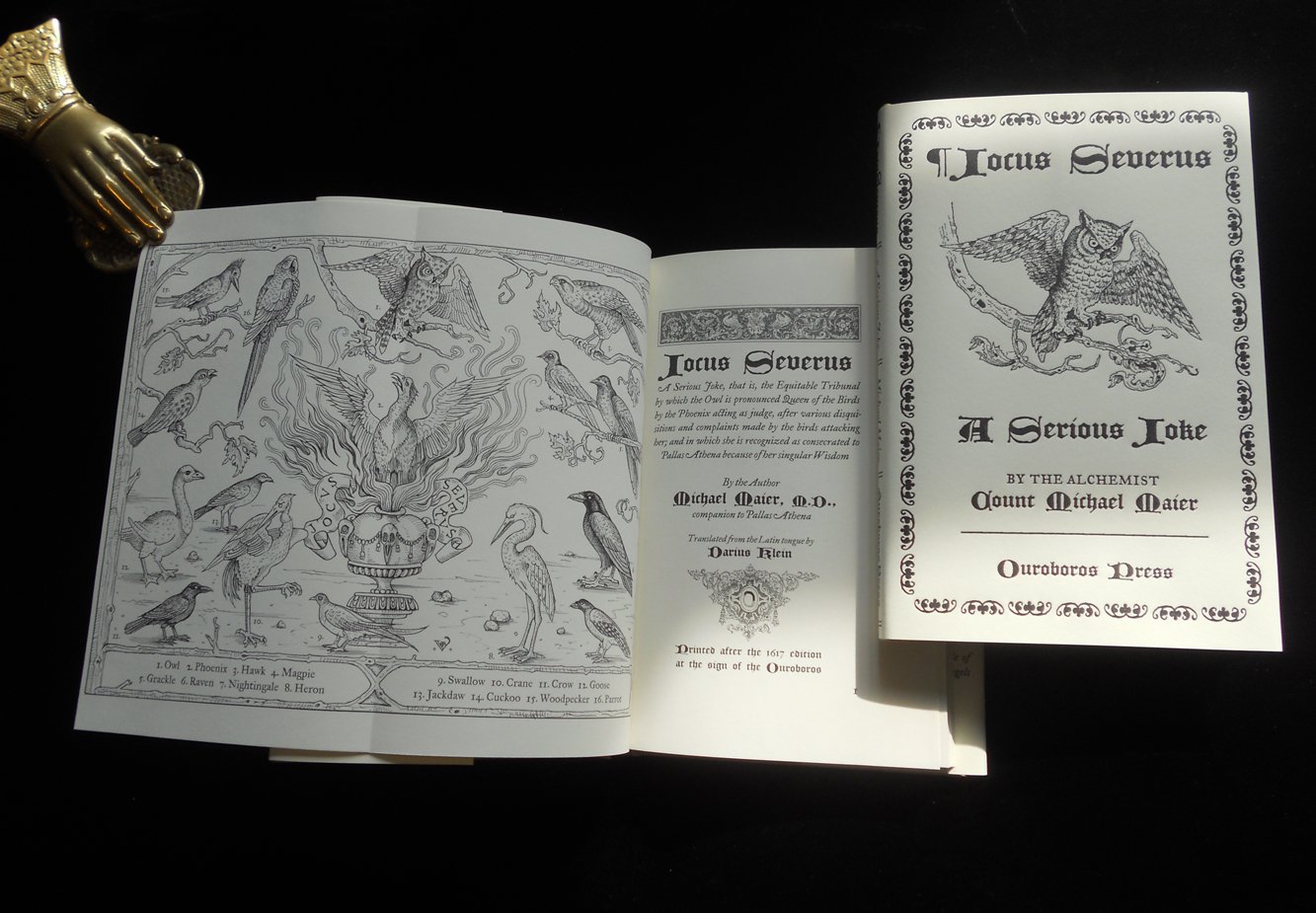 JOCUS SEVERUS: A Serious Joke (Hardcover)