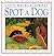 Spot a Cat: A Child's Book of Art by Lucy Micklethwait (1995-09-09)