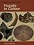 Fossils in Colour