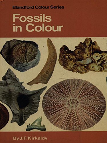 Fossils in Colour (Hardcover)
