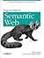 Programming the Semantic Web 1st (first) edition Text Only