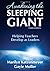 By Marilyn H. Katzenmeyer - Awakening the Sleeping Giant: Helping Teachers Develop as Leaders: 3rd (third) Edition
