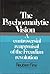 The Psychoanalytic Vision