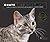 Chats passionnément : Portr...