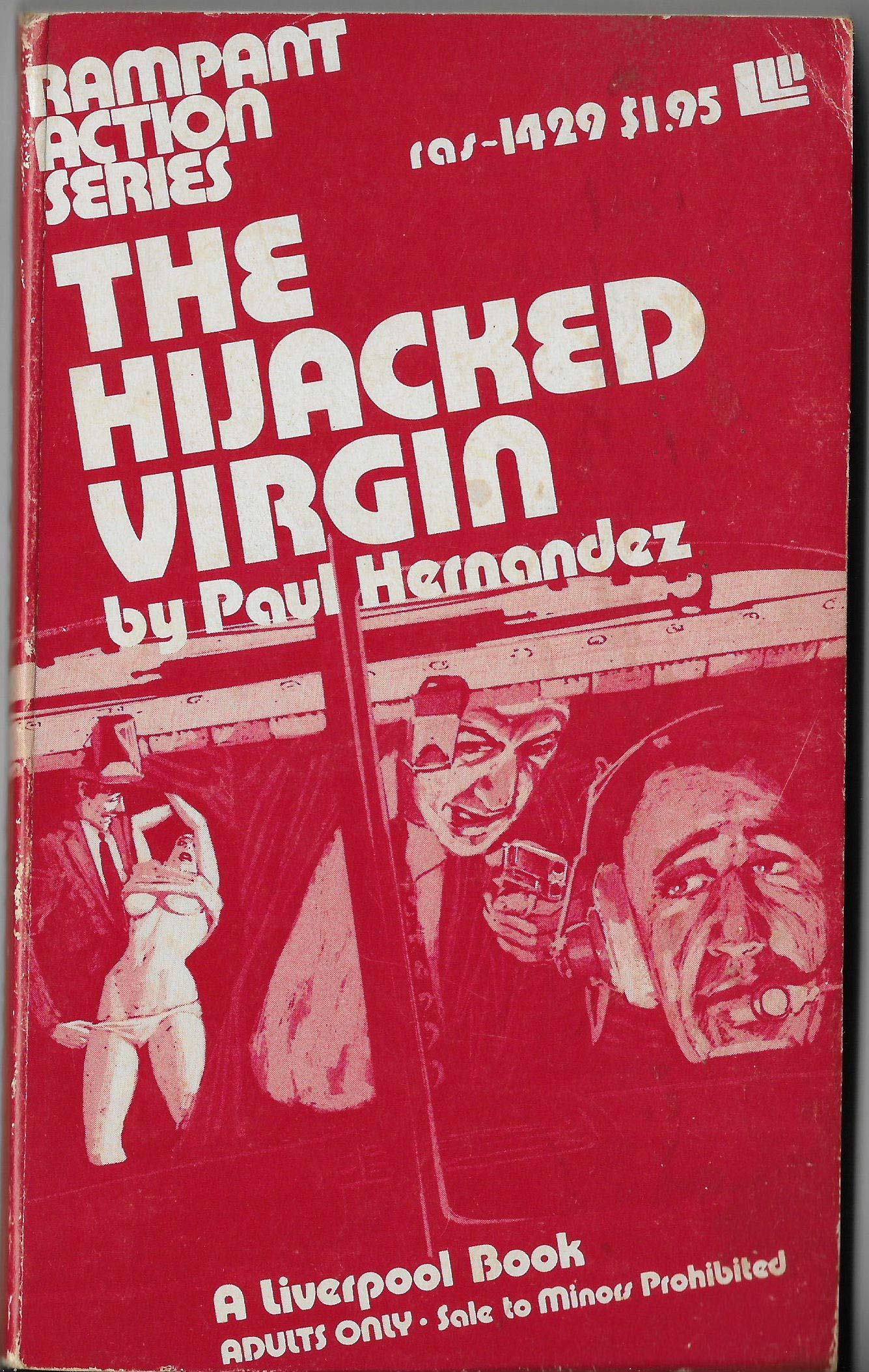 THE HIJACKED VIRGIN (Paperback)