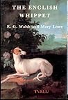 The English Whippet The English Whippet