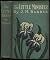 The Little Minister