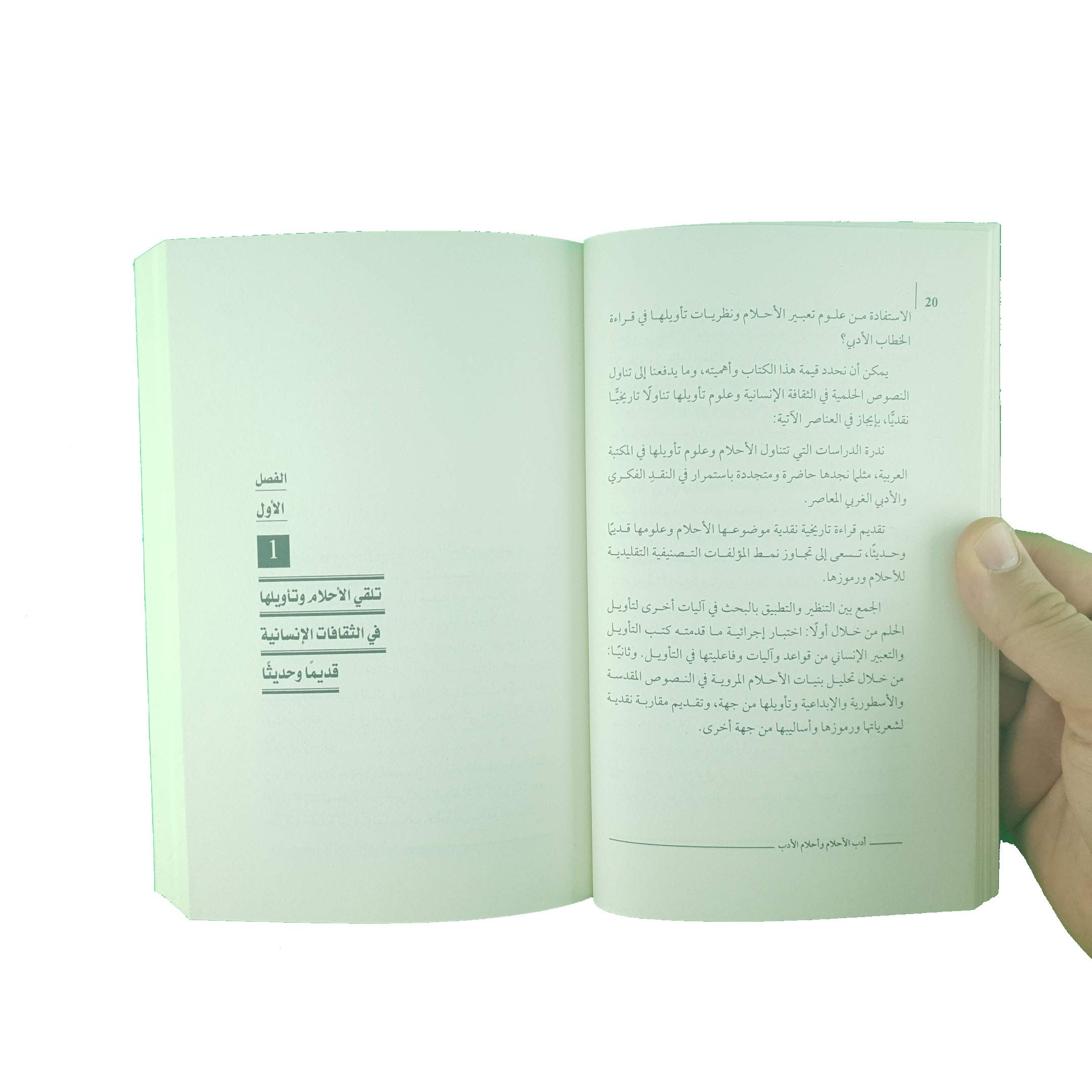 أدب الأحلام وأحلام الأدب دراسة تاريخية نقدية (Paperback)