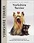 A Kennel Club Book Yorkshire Terrier by Rachel Keyes