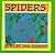 SPIDERS