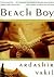 Beach Boy: A Novel