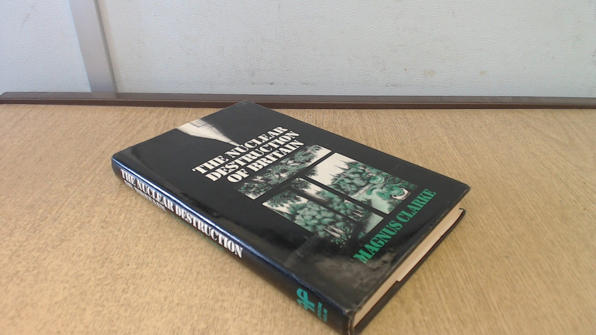 Nuclear Destruction of Britain (Hardcover)