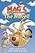 The Magic Roundabout: The Novel! Novel : Sprung!