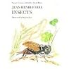 Insects Insects