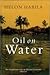 Oil on Water by Helon Habila