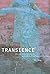 Transience: Chinese Experimental Art at the End of the Twentieth Century (Paperback) - Common