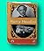 Rare Ruth Brandon / The Life and Many Deaths of Harry Houdini First Edition 1993 [Hardcover] Brandon, Ruth