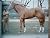 Secretariat Commemorative M...