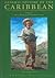 The Caribbean in the Twentieth Century (General History of the Caribbean #5)