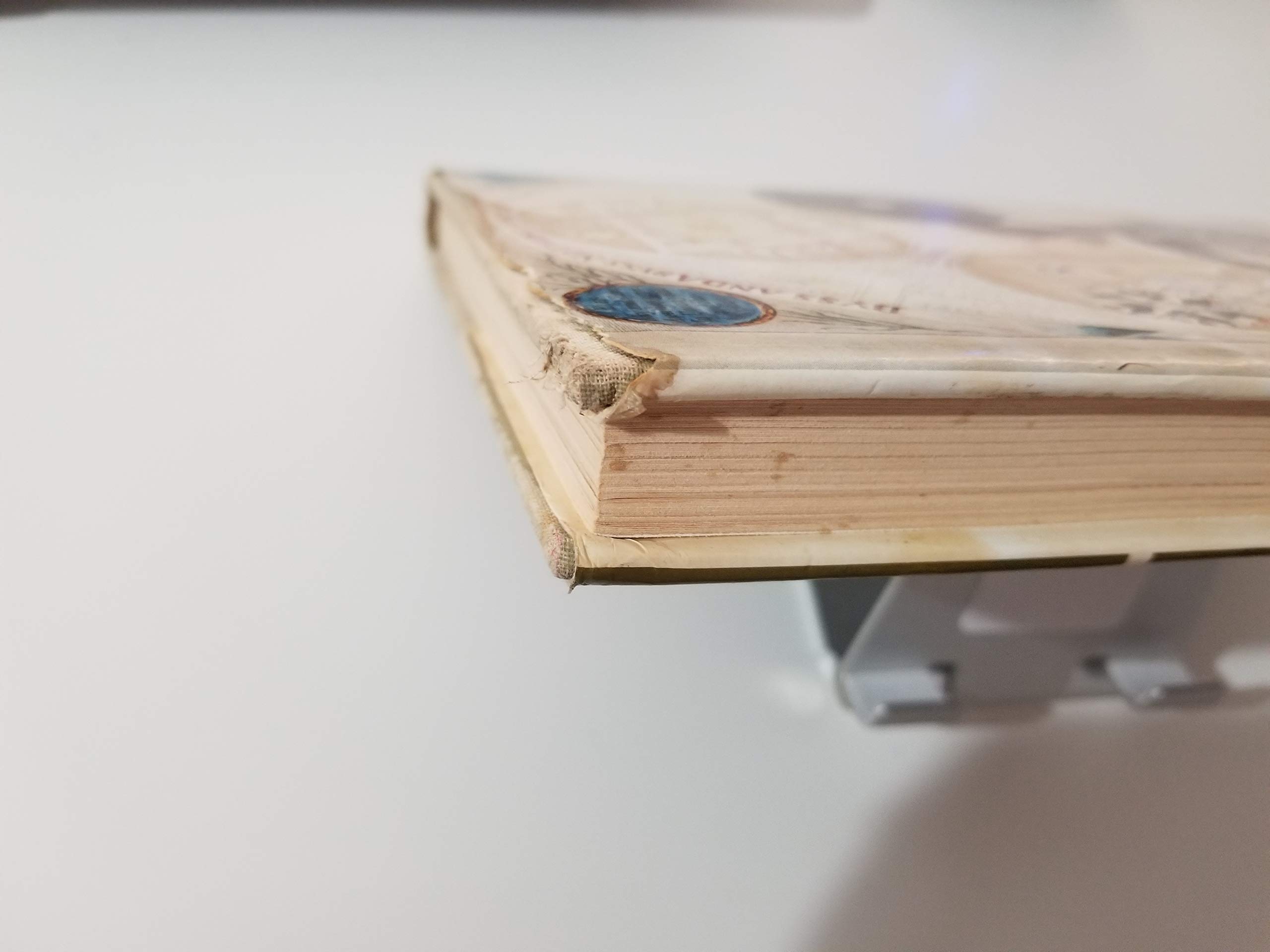 The Occult in Art (Hardcover)