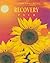 The Easy Does It Recovery Pack: Including the Recovery Book of Meditations, My Recovery Journal and 52 Pick-Me-Up Recovery Cards by Mary Faulkner (2004-06-03)