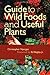 Guide to Wild Flowers and Useful Plants by Christopher Nyerges (1999-08-03)