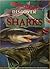 Discover Sharks