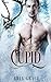 Cupid: An MM Mpreg Holiday Shifter Romance