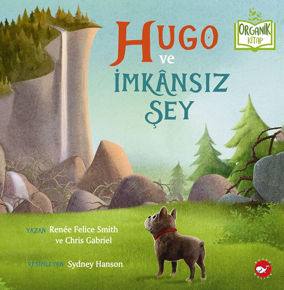 Hugo ve İmkânsız Şey (Hardcover)