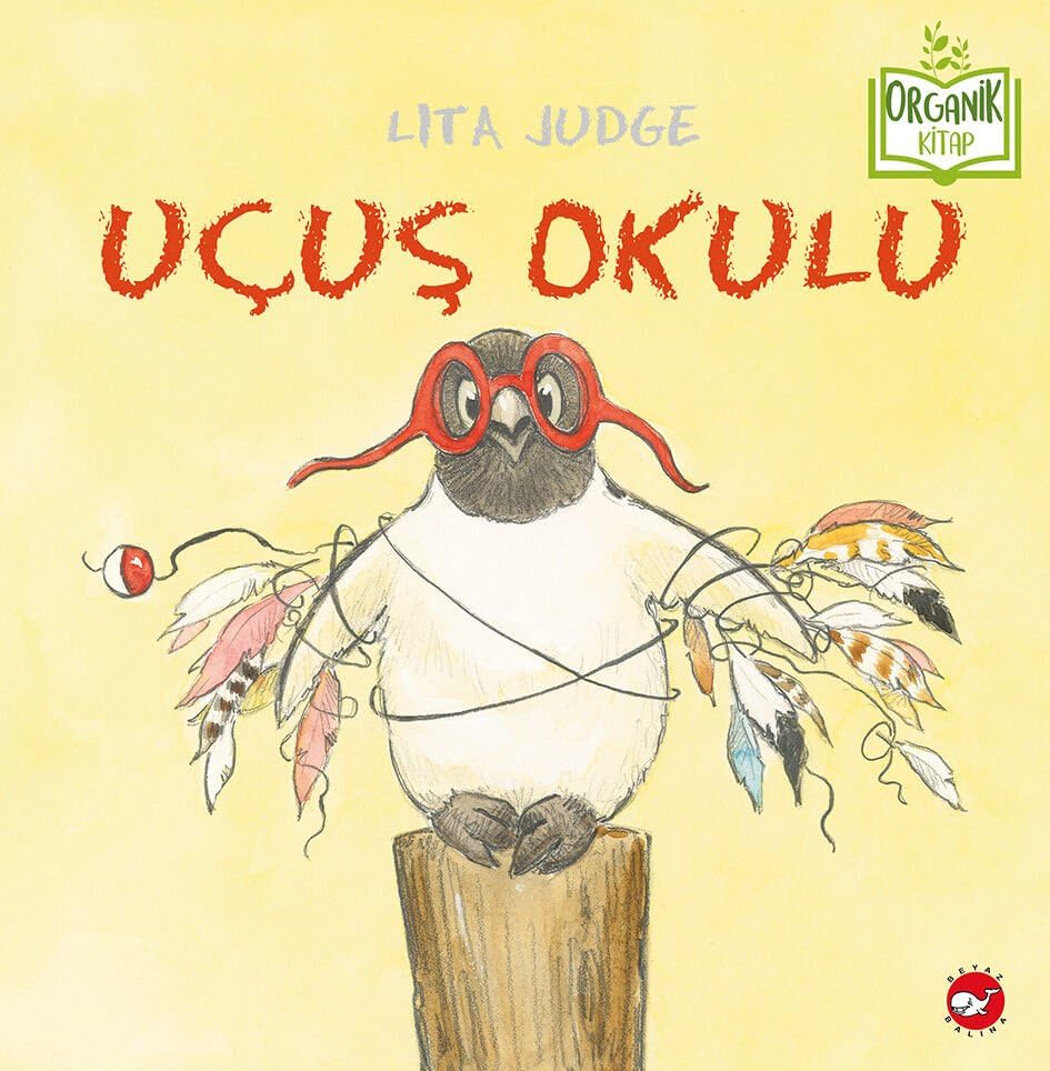 Uçuş Okulu (Paperback)