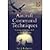 Aircraft Command Techniques: Gaining Leadership Skills to Fly the Left Seat by Fallucco, Sal J. [Ashgate Pub Ltd,2002] (Paperback) [Paperback]
