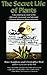 The Secret Life of Plants by Peter Tompkins (1989-03-31)