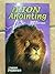 The Lion Anointing