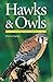 Hawks and Owls of Eastern N...