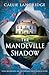The Mandeville Shadow: Totally heartbreaking and unputdownable timeslip historical fiction (A Mandeville Mystery)