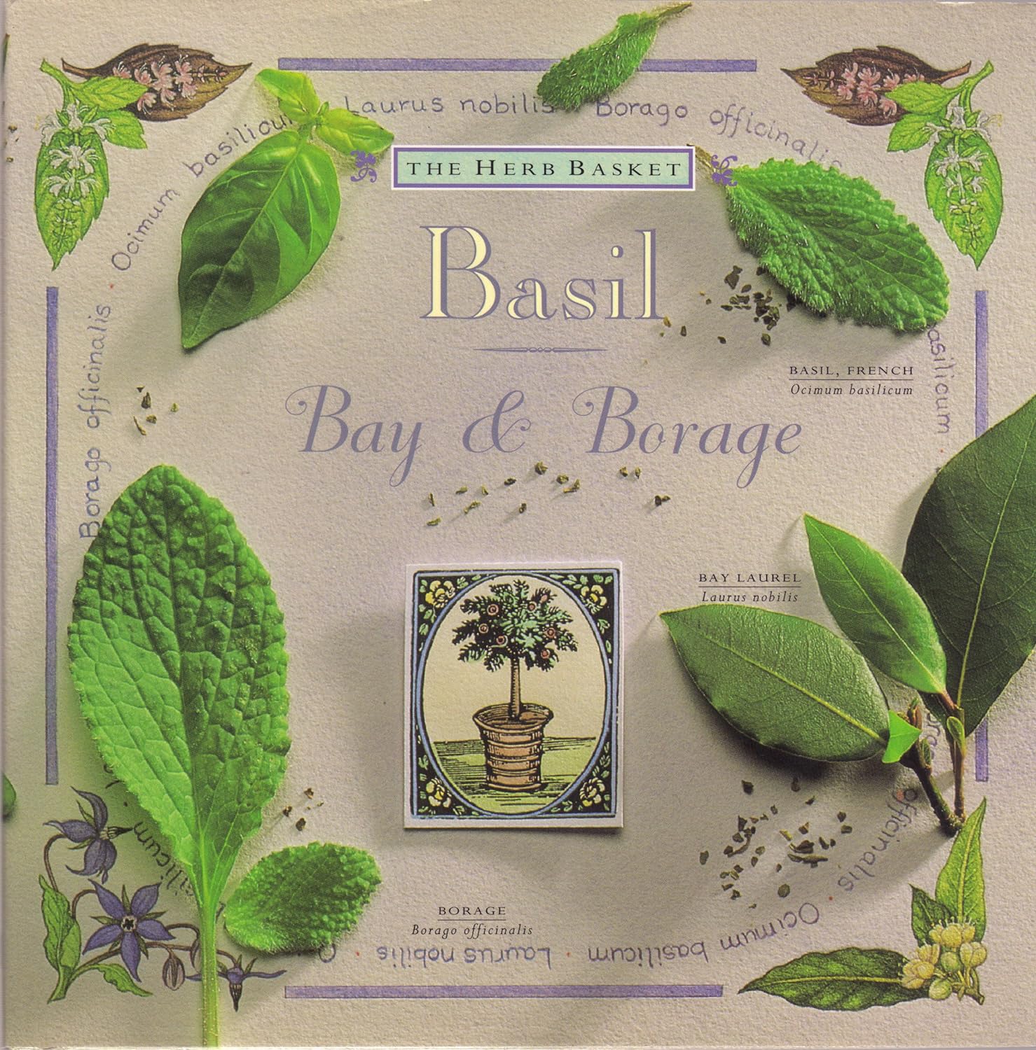 Basil: Bay & Borage