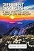 Different Discipleship: Jes...